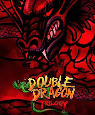 Double Dragon Trilogy (Steam)