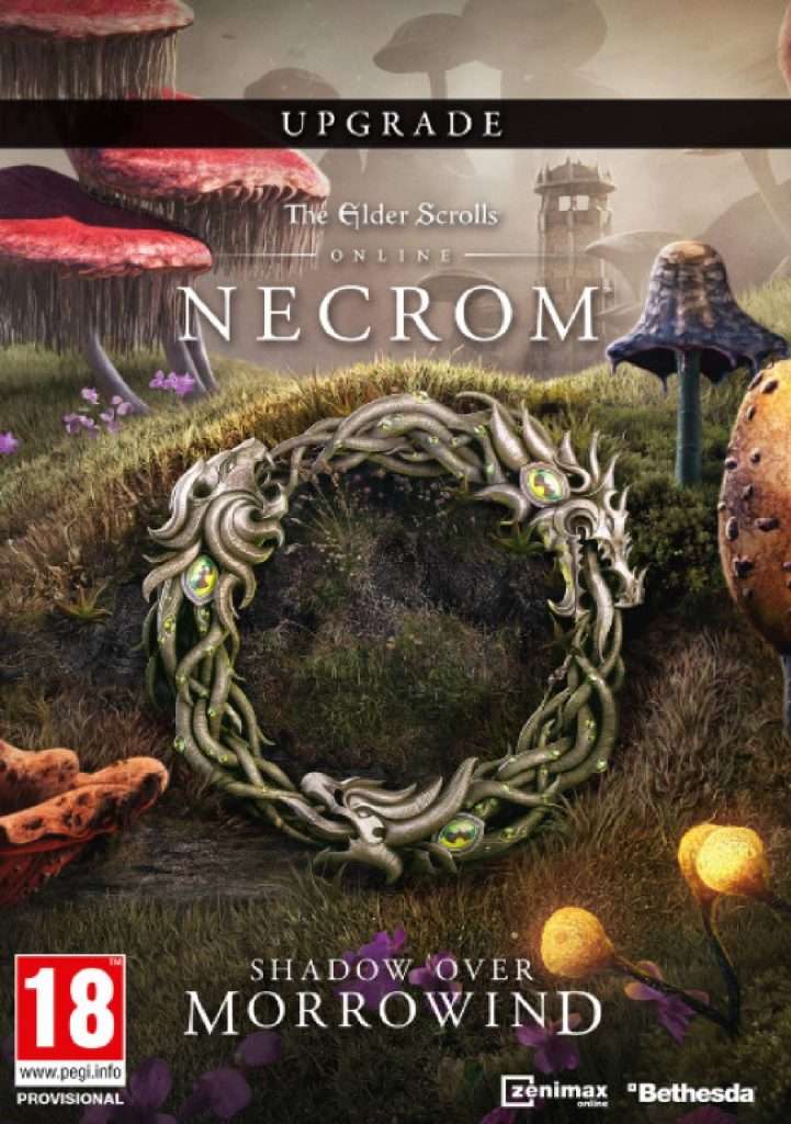 The Elder Scrolls Online Upgrade: Necrom – DLC (Steam)